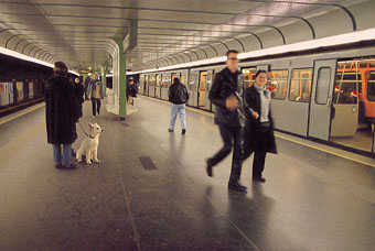 ウィーンの地下鉄シュヴェーデンプラッツ駅　
犬も自転車もそのまま乗れます