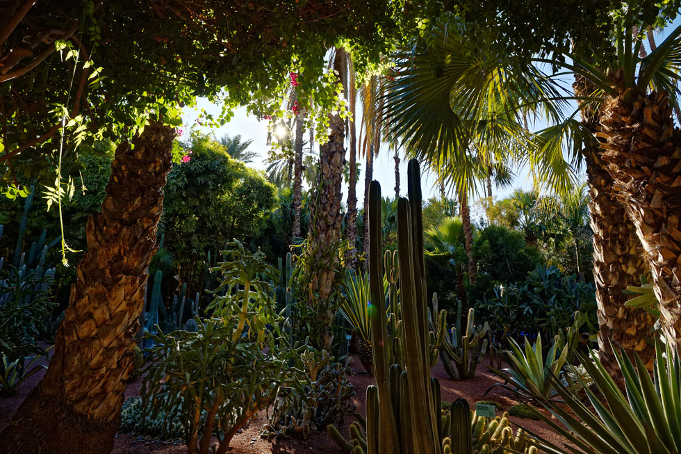 Jardin Majorelle