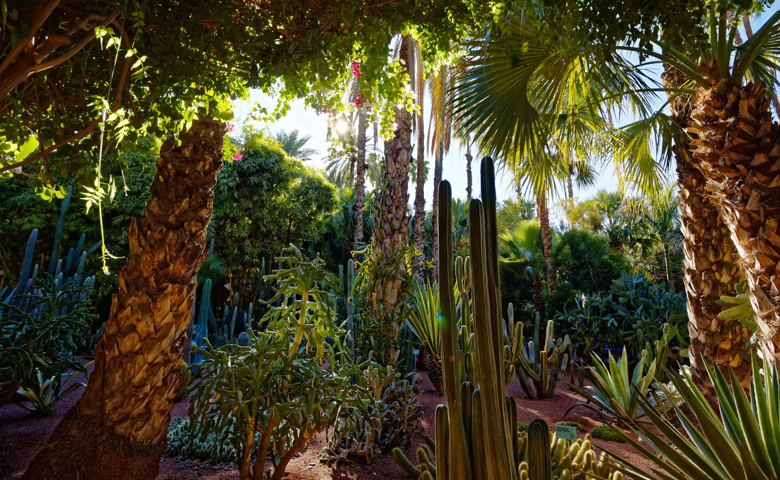 Jardin Majorelle